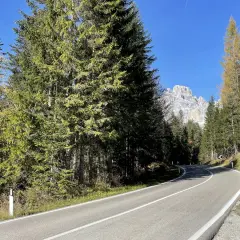 Strada panoramica che sale verso il passo Monte Croce, circondata da fitti boschi di conifere e con vette rocciose sullo sfondo.