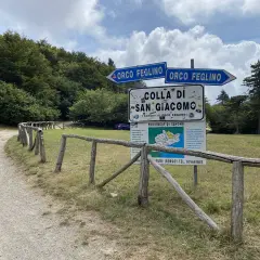 Segnaletica stradale indica la direzione per Orco Feglino e la Colla di San Giacomo, immersa nel verde di una foresta.