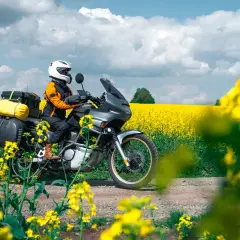 Viaggio in moto attraverso un campo di colza in fiore, con il Monte Conero sullo sfondo.