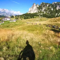 Gruppo di ciclisti in discesa su un sentiero erboso, con montagne imponenti sullo sfondo. Un'avventura a Recoaro 1000.
