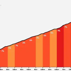 Profilo altimetrico del Passo di Ganda da Gazzaniga, con pendenze variabili dal 5% all'11%.