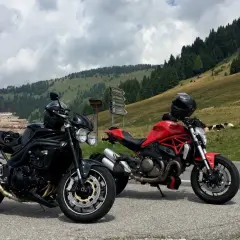 Due moto, una nera e una rossa, parcheggiate sul ciglio della strada al passo Castrin. Mucche al pascolo sullo sfondo di un prato verde e alberi.