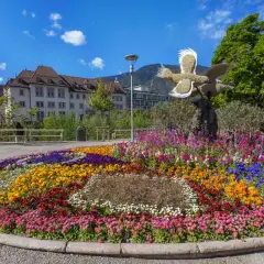 Merano cosa vedere: un'aiuola fiorita coloratissima con un uccello decorativo, edifici storici e montagne sullo sfondo.