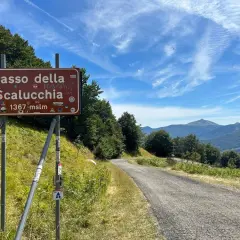 Cartello stradale indica Passo della Scalucchia a 1367 metri. La strada sale tra alberi e montagne sullo sfondo.
