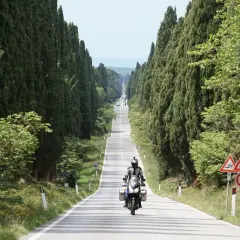 Un motociclista percorre un viale dei cipressi, con alberi alti e verdi che fiancheggiano la strada.