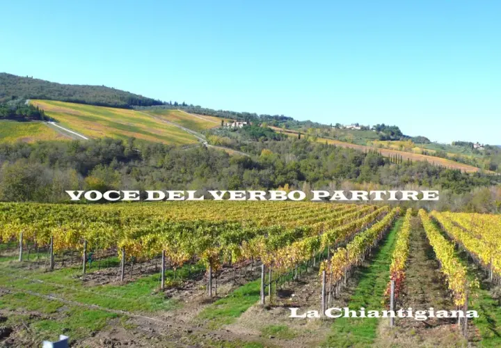 Vigneti dorati lungo la via Chiantigiana, con dolci colline toscane sullo sfondo.