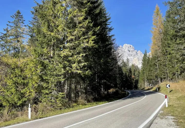 Strada panoramica che sale verso il passo Monte Croce, circondata da fitti boschi di conifere e con vette rocciose sullo sfondo.