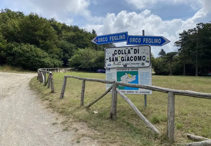 Segnaletica stradale indica la direzione per Orco Feglino e la Colla di San Giacomo, immersa nel verde di una foresta.