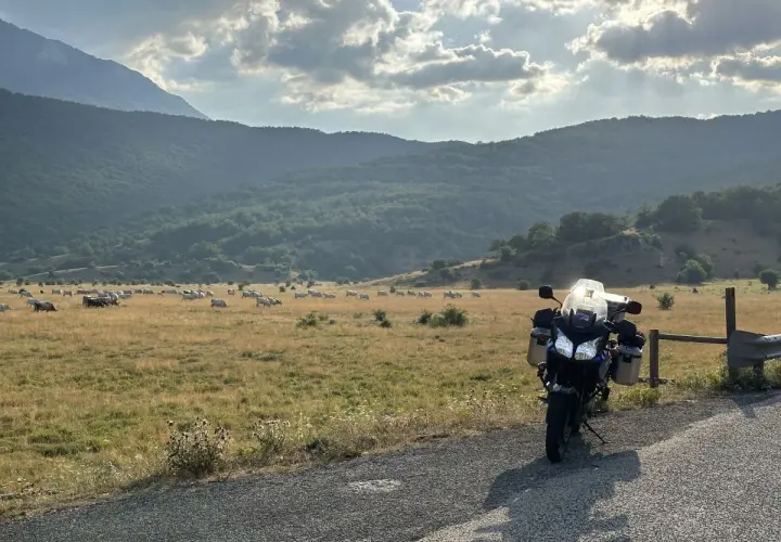 Moto parcheggiata al valico di Capo la Serra, con un gregge di mucche al pascolo e montagne verdi sullo sfondo.
