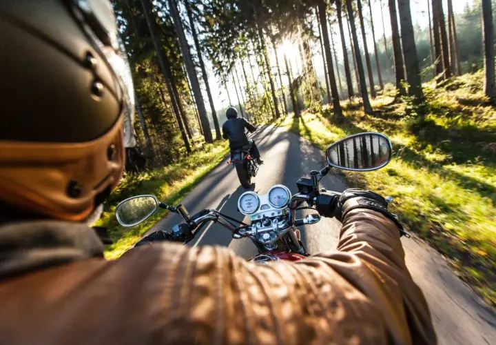Due moto sfrecciano su una strada contessa Gubbio, immerse in un bosco baciato dal sole.