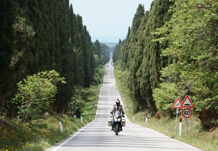 Un motociclista percorre un viale dei cipressi, con alberi alti e verdi che fiancheggiano la strada.
