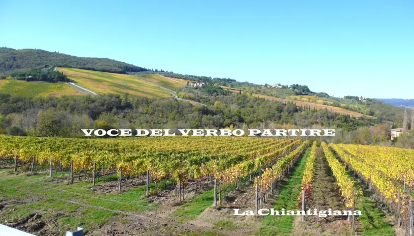 Vigneti dorati lungo la via Chiantigiana, con dolci colline toscane sullo sfondo.