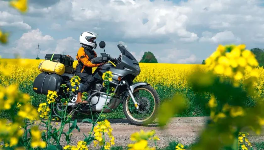 Viaggio in moto attraverso un campo di colza in fiore, con il Monte Conero sullo sfondo.