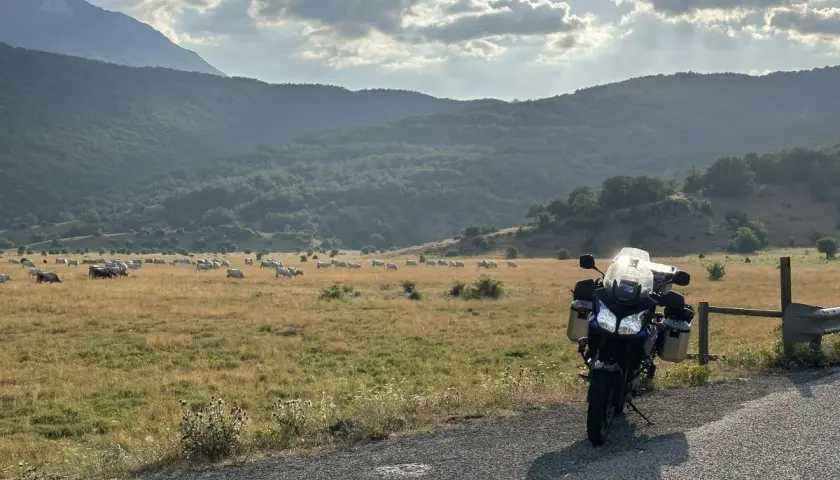 Moto parcheggiata al valico di Capo la Serra, con un gregge di mucche al pascolo e montagne verdi sullo sfondo.