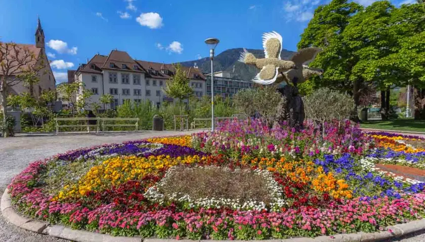 Merano cosa vedere: un'aiuola fiorita coloratissima con un uccello decorativo, edifici storici e montagne sullo sfondo.