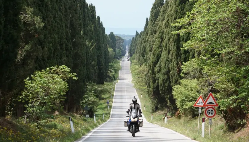 Un motociclista percorre un viale dei cipressi, con alberi alti e verdi che fiancheggiano la strada.