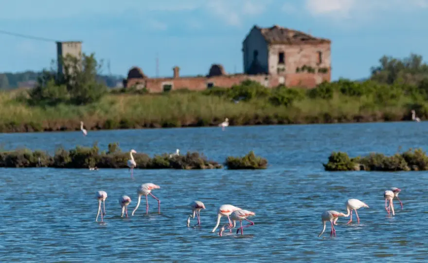 Delta del Po - Cosa vedere e come pianificare il viaggio perfetto