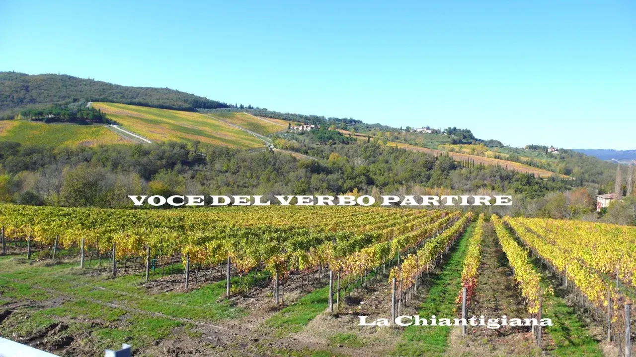 Vigneti dorati lungo la via Chiantigiana, con dolci colline toscane sullo sfondo.