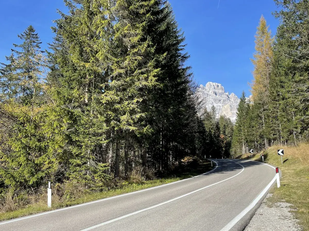 Strada panoramica che sale verso il passo Monte Croce, circondata da fitti boschi di conifere e con vette rocciose sullo sfondo.