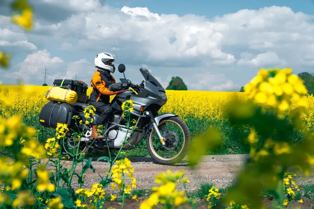Viaggio in moto attraverso un campo di colza in fiore, con il Monte Conero sullo sfondo.