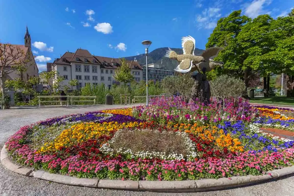 Merano cosa vedere: un'aiuola fiorita coloratissima con un uccello decorativo, edifici storici e montagne sullo sfondo.