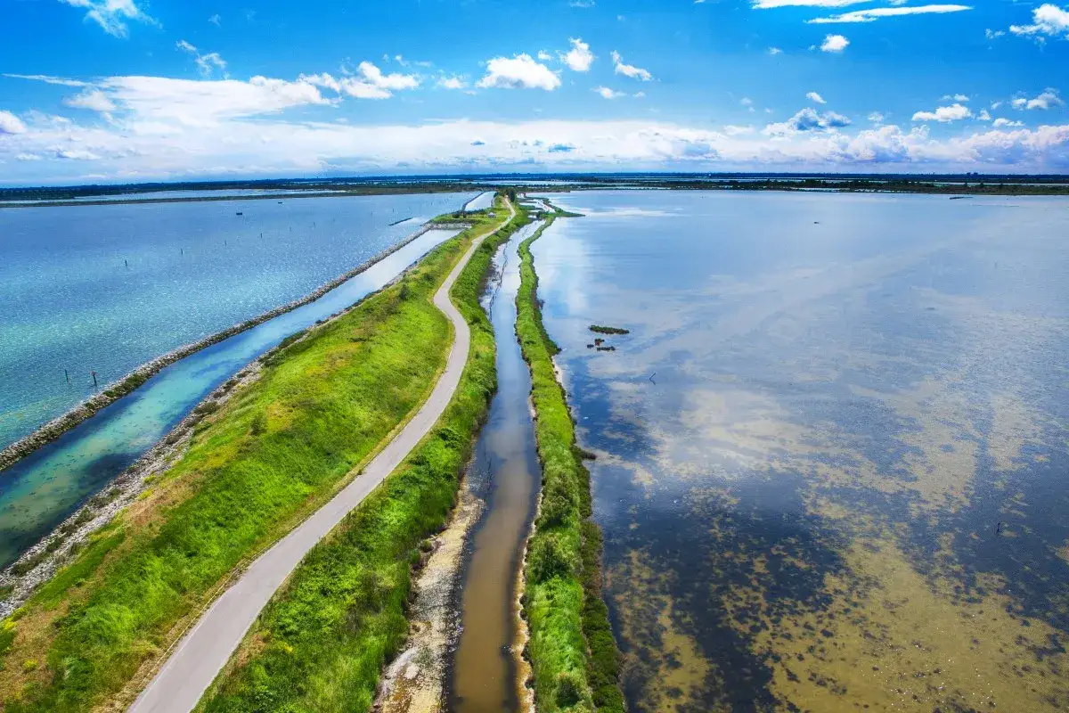 Strada panoramica tra le lagune del Delta del Po, un luogo ideale per scoprire la natura incontaminata.