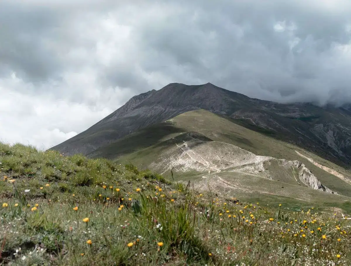 Prato fiorito ai piedi della Forca di Presta, con sentiero che serpeggia sui pendii verdi e montagne nebbiose sullo sfondo.