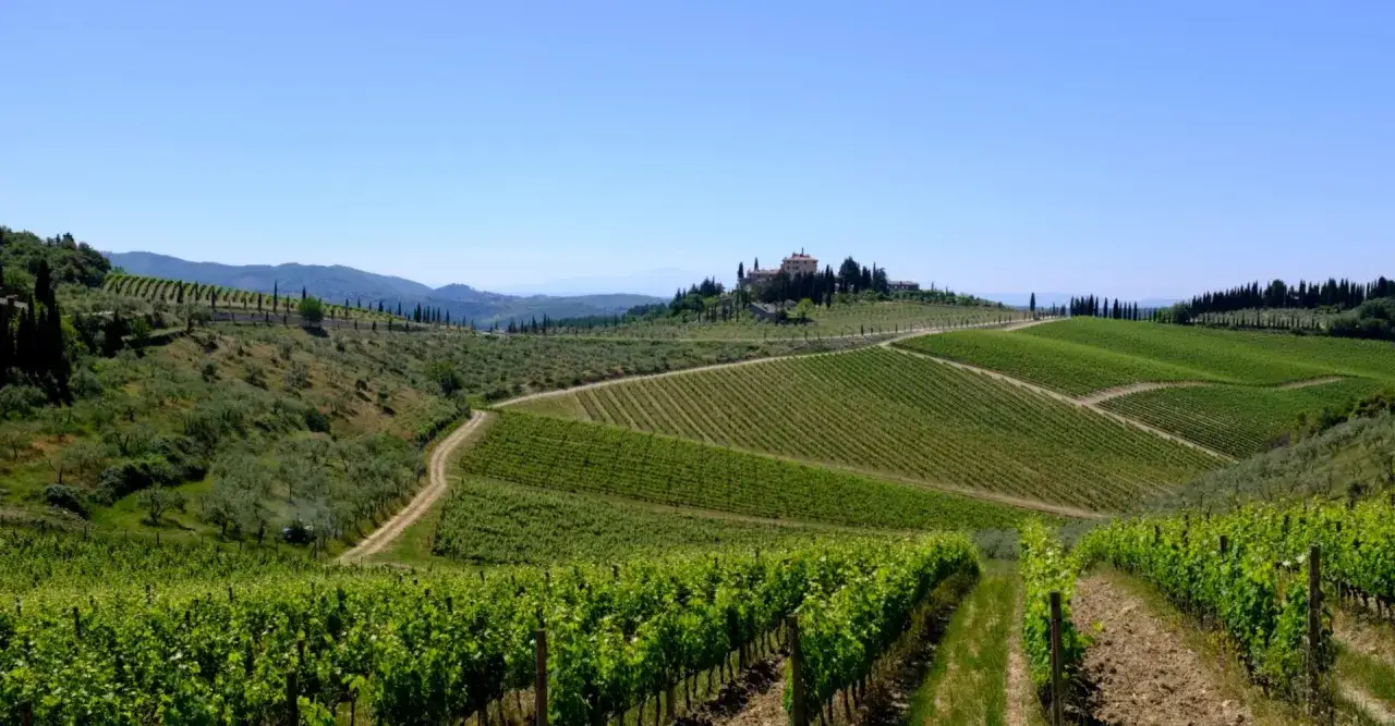 Colline toscane rigogliose, vigneti ordinati e uliveti si estendono lungo la via Chiantigiana, con una villa in cima a una collina.